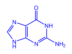 Tiedosto:Guanine 001.svg