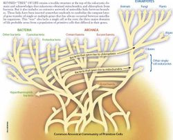 Uprooted tree of life.jpg