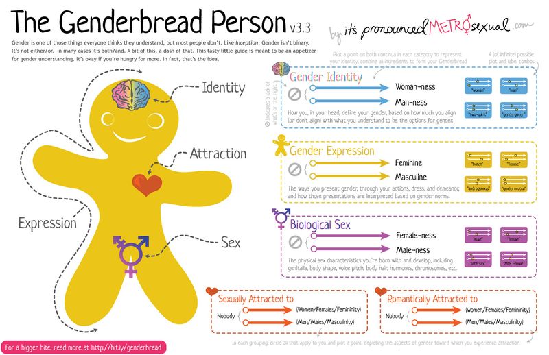 Tiedosto:Genderbread-Person-3.3.jpg